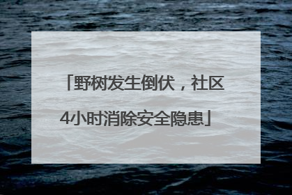 野树发生倒伏，社区4小时消除安全隐患