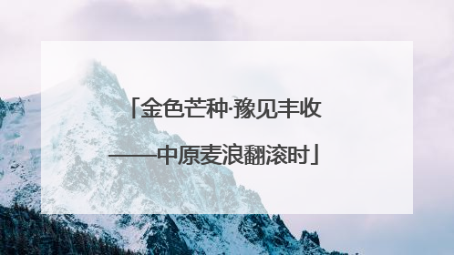 金色芒种·豫见丰收——中原麦浪翻滚时