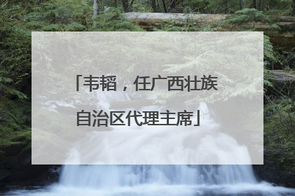 韦韬，任广西壮族自治区代理主席
