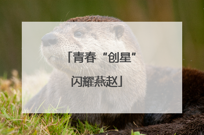 青春“创星” 闪耀燕赵