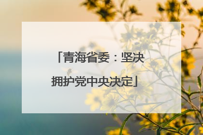 青海省委：坚决拥护党中央决定