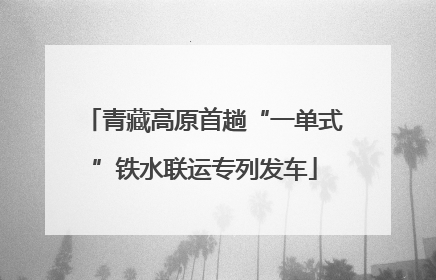 青藏高原首趟“一单式”铁水联运专列发车