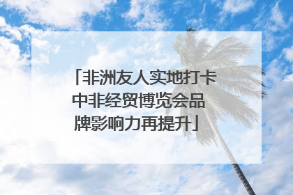 非洲友人实地打卡 中非经贸博览会品牌影响力再提升