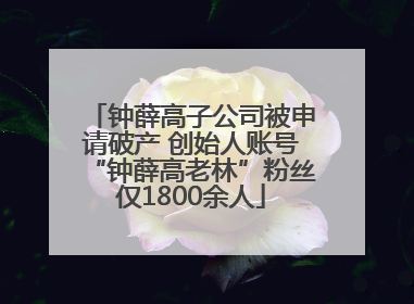 钟薛高子公司被申请破产 创始人账号“钟薛高老林”粉丝仅1800余人