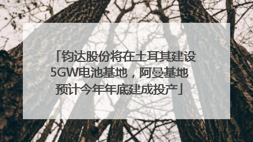 钧达股份将在土耳其建设5GW电池基地，阿曼基地预计今年年底建成投产