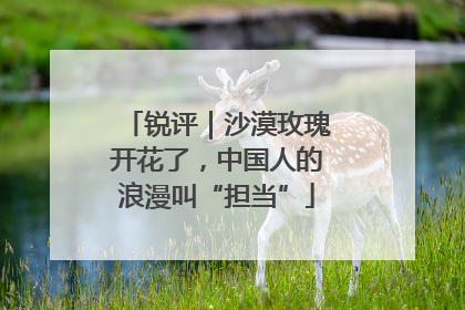 锐评｜沙漠玫瑰开花了，中国人的浪漫叫“担当”