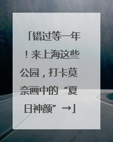 错过等一年！来上海这些公园，打卡莫奈画中的“夏日神颜”→