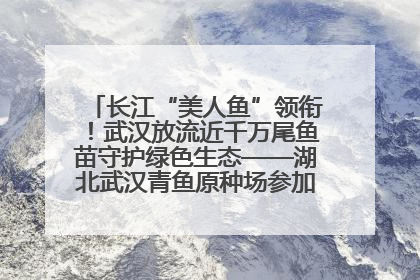 长江“美人鱼”领衔！武汉放流近千万尾鱼苗守护绿色生态——湖北武汉青鱼原种场参加2025年“全国放鱼日”增殖放流活动