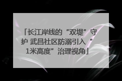 长江岸线的“双堤”守护 武昌社区防溺引入“1米高度”治理视角