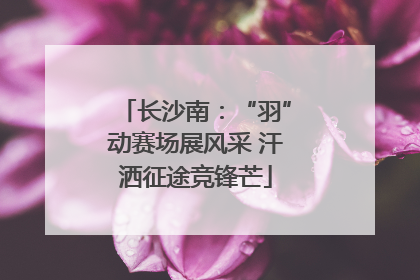 长沙南：“羽”动赛场展风采 汗洒征途竞锋芒