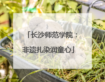 长沙师范学院：非遗扎染润童心