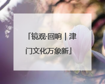 镜观·回响｜津门文化万象新