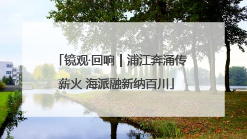镜观·回响｜浦江奔涌传薪火 海派融新纳百川