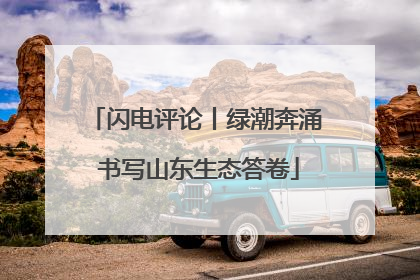 闪电评论丨绿潮奔涌 书写山东生态答卷
