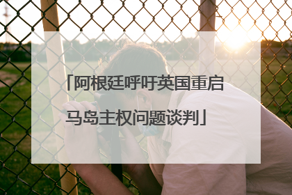 阿根廷呼吁英国重启马岛主权问题谈判