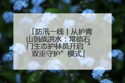 防汛一线丨从护青山到战洪水：常德石门生态护林员开启“双重守护”模式