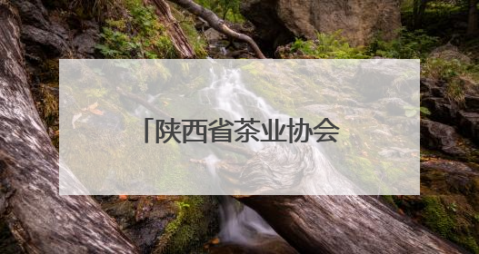 陕西省茶业协会第五届会员代表（换届）大会举行