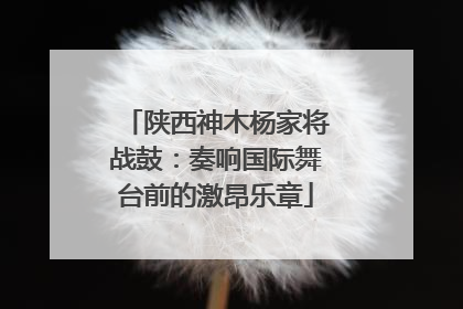 陕西神木杨家将战鼓：奏响国际舞台前的激昂乐章