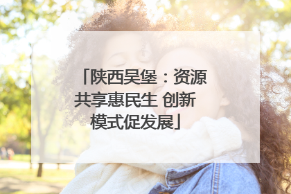 陕西吴堡：资源共享惠民生 创新模式促发展