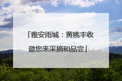 雅安雨城：黄桃丰收 邀您来采摘和品尝