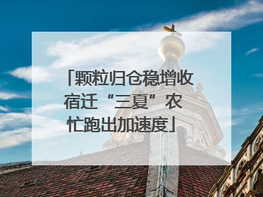 颗粒归仓稳增收 宿迁“三夏”农忙跑出加速度