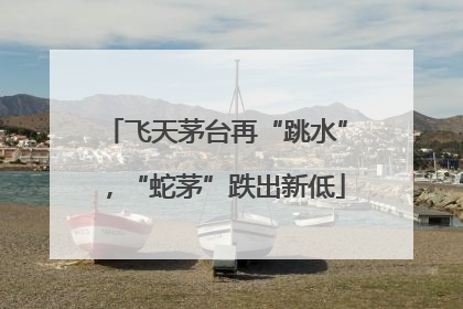 飞天茅台再“跳水”，“蛇茅”跌出新低