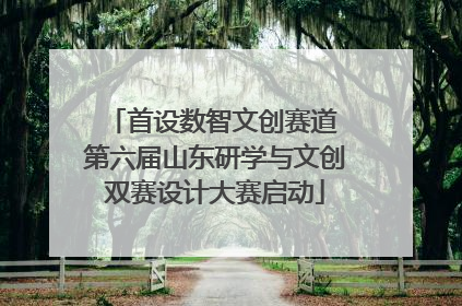 首设数智文创赛道 第六届山东研学与文创双赛设计大赛启动