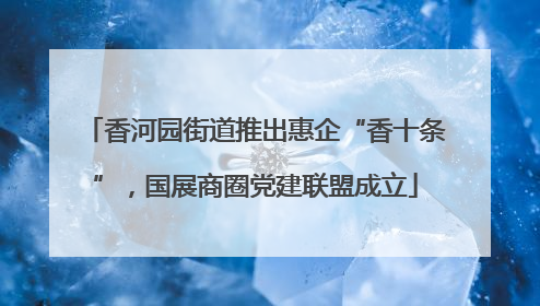香河园街道推出惠企“香十条”，国展商圈党建联盟成立