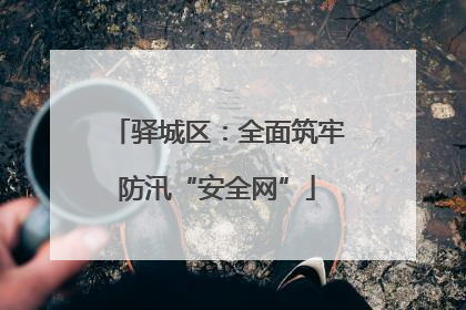 驿城区：全面筑牢防汛“安全网”