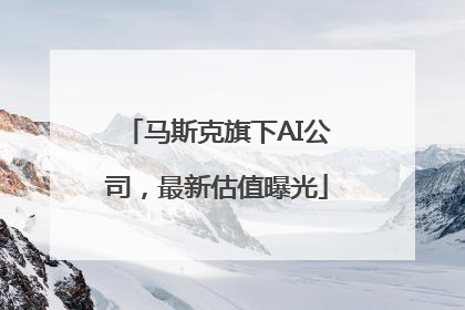马斯克旗下AI公司，最新估值曝光