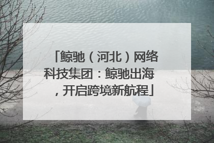 鲸驰（河北）网络科技集团：鲸驰出海，开启跨境新航程