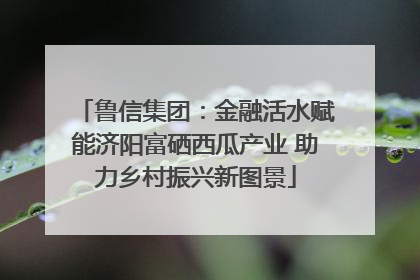 鲁信集团：金融活水赋能济阳富硒西瓜产业 助力乡村振兴新图景