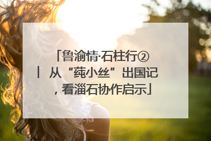 鲁渝情·石柱行② ︳从“莼小丝”出国记，看淄石协作启示