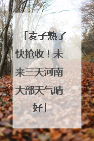 麦子熟了快抢收！未来三天河南大部天气晴好
