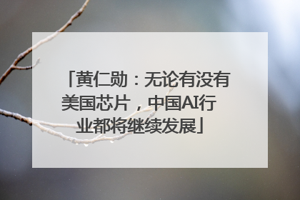 黄仁勋：无论有没有美国芯片，中国AI行业都将继续发展