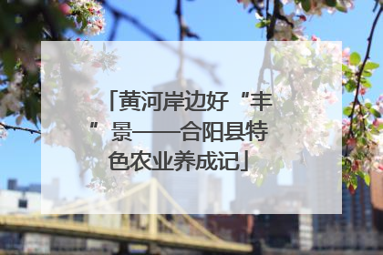黄河岸边好“丰”景——合阳县特色农业养成记