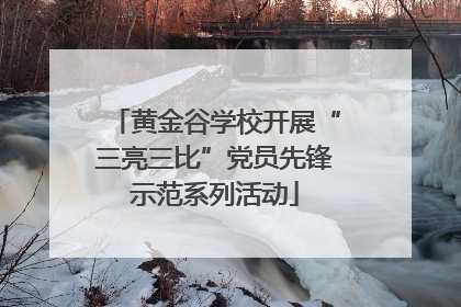 黄金谷学校开展“三亮三比”党员先锋示范系列活动