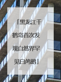 黑龙江千鹤岛首次发现自然界罕见白鸬鹚
