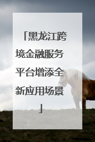 黑龙江跨境金融服务平台增添全新应用场景