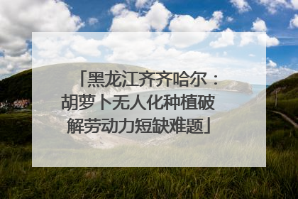 黑龙江齐齐哈尔：胡萝卜无人化种植破解劳动力短缺难题