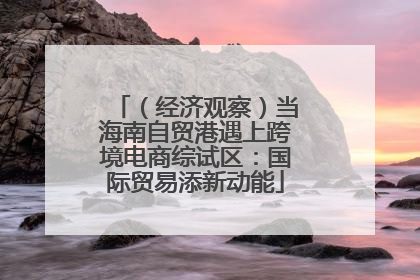 （经济观察）当海南自贸港遇上跨境电商综试区：国际贸易添新动能