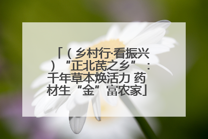 （乡村行·看振兴）“正北芪之乡”：千年草本焕活力 药材生“金”富农家