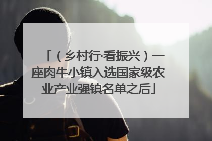 （乡村行·看振兴）一座肉牛小镇入选国家级农业产业强镇名单之后