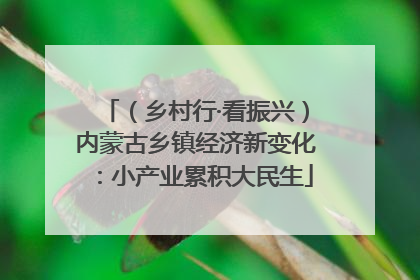 （乡村行·看振兴）内蒙古乡镇经济新变化：小产业累积大民生