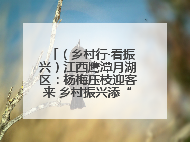 （乡村行·看振兴）江西鹰潭月湖区：杨梅压枝迎客来 乡村振兴添“梅”景