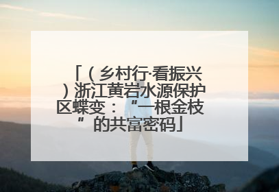 （乡村行·看振兴）浙江黄岩水源保护区蝶变：“一根金枝”的共富密码