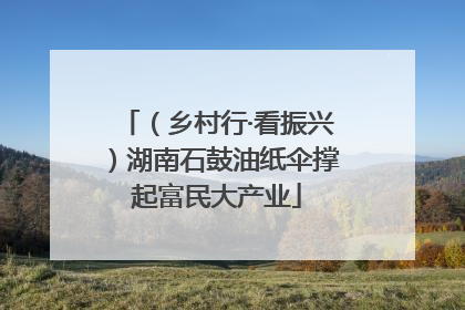 （乡村行·看振兴）湖南石鼓油纸伞撑起富民大产业