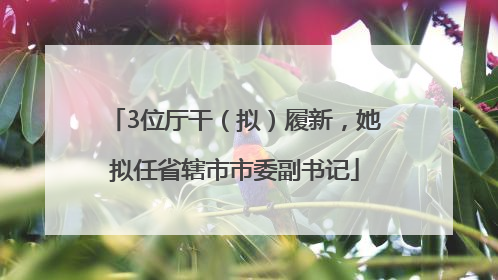 3位厅干（拟）履新，她拟任省辖市市委副书记