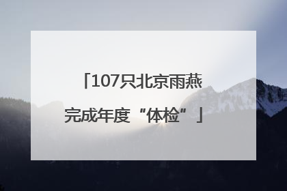 107只北京雨燕完成年度“体检”