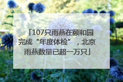 107只雨燕在颐和园完成“年度体检”，北京雨燕数量已超一万只